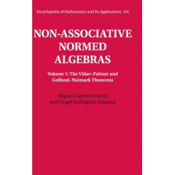Non-Associative Normed Algebras