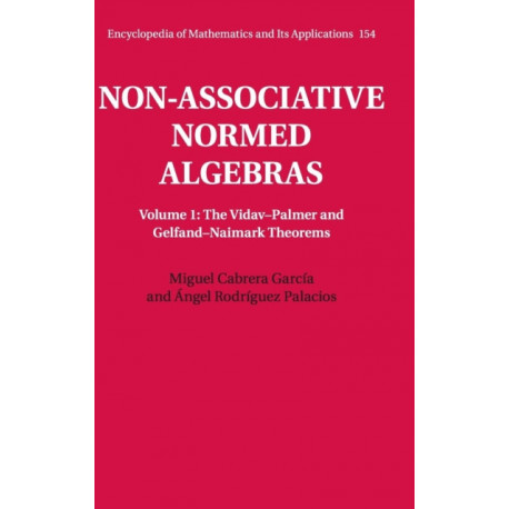 Non-Associative Normed Algebras