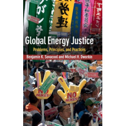 Global Energy Justice: Problems, Principles, and Practices