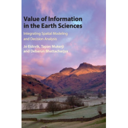 Value of Information in the Earth Sciences: Integrating Spatial Modeling and Decision Analysis