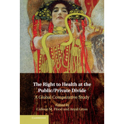 The Right to Health at the Public/Private Divide: A Global Comparative Study