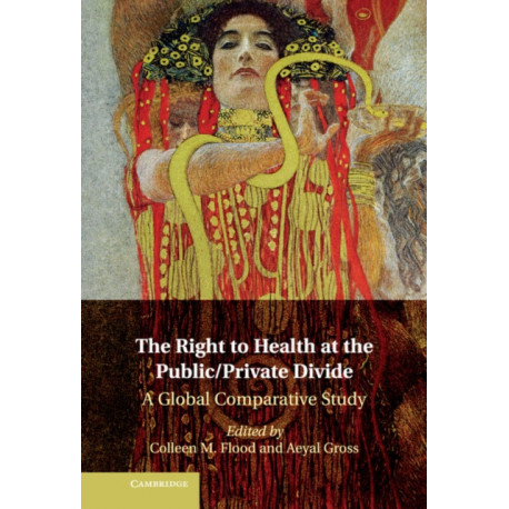 The Right to Health at the Public/Private Divide: A Global Comparative Study