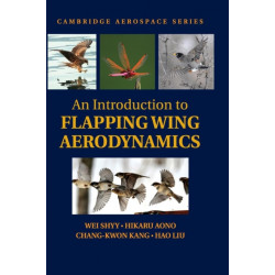 An Introduction to Flapping Wing Aerodynamics