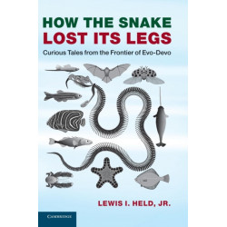 How the Snake Lost its Legs: Curious Tales from the Frontier of Evo-Devo