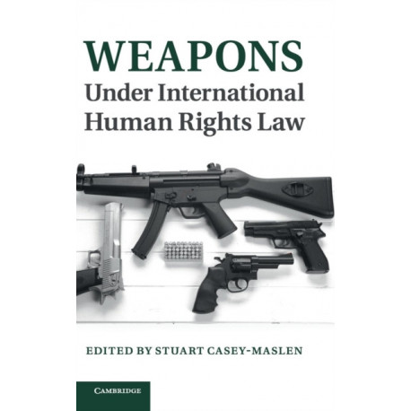 Weapons under International Human Rights Law
