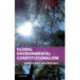 Global Environmental Constitutionalism