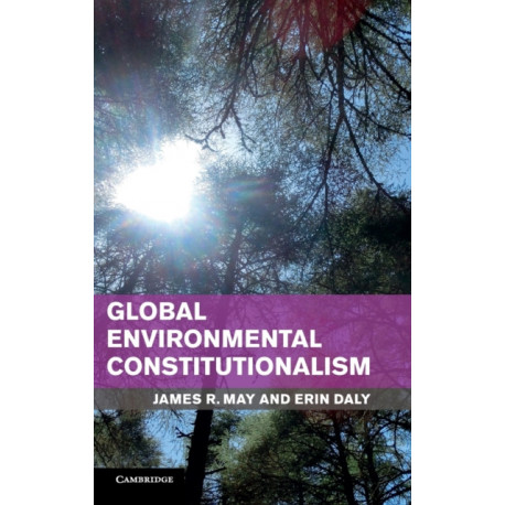 Global Environmental Constitutionalism