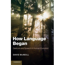How Language Began: Gesture and Speech in Human Evolution
