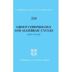 Group Cohomology and Algebraic Cycles