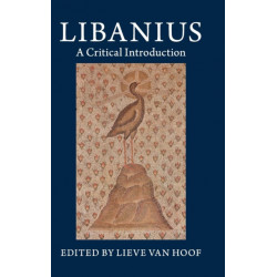 Libanius: A Critical Introduction