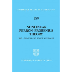 Nonlinear Perron–Frobenius Theory