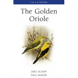 The Golden Oriole