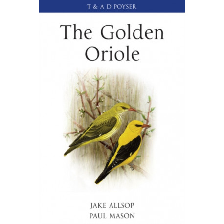 The Golden Oriole