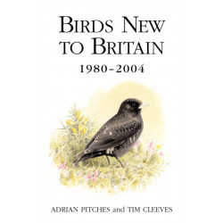 Birds New to Britain 1980-2004