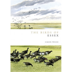 Birds of Essex