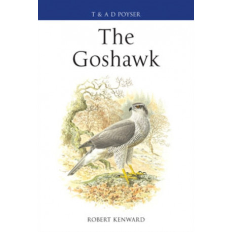 The Goshawk