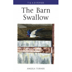 The Barn Swallow