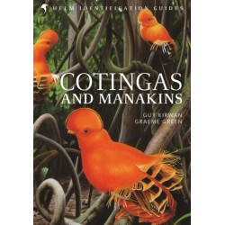 Cotingas and Manakins