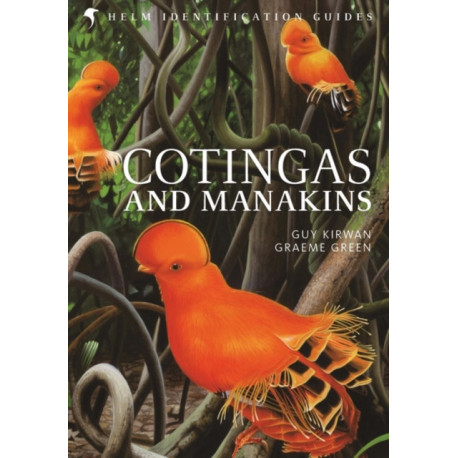 Cotingas and Manakins