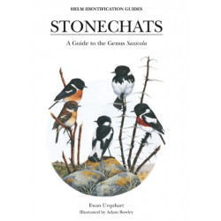Stonechats