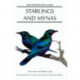 Starlings and Mynas