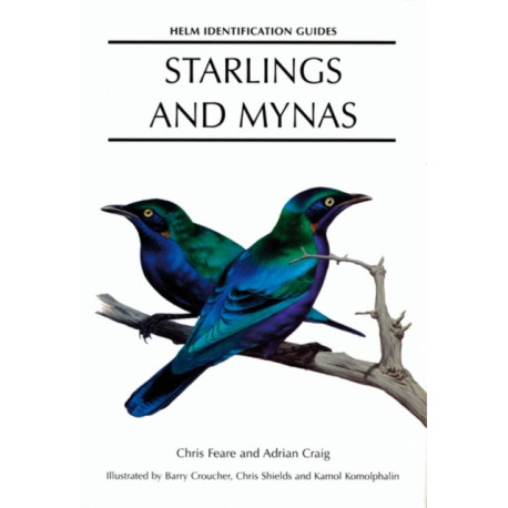 Starlings and Mynas