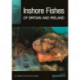 Inshore Fishes of Britain and Ireland