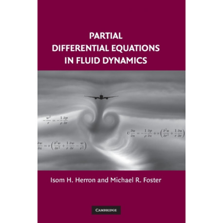 Partial Differential Equations in Fluid Dynamics