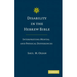 Disability in the Hebrew Bible: Interpreting Mental and Physical Differences