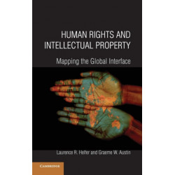 Human Rights and Intellectual Property: Mapping the Global Interface