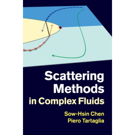 Scattering Methods in Complex Fluids