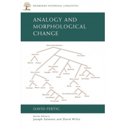 Analogy and Morphological Change