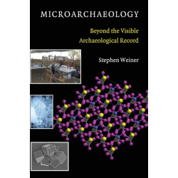 Microarchaeology: Beyond the Visible Archaeological Record