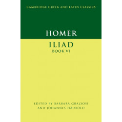 Homer: Iliad Book VI