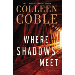 Where Shadows Meet: A Romantic Suspense Novel
