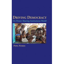 Driving Democracy: Do Power-Sharing Institutions Work?