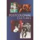 Postcolonial Cultures