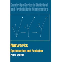 Networks: Optimisation and Evolution