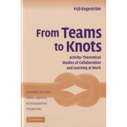 From Teams to Knots: Activity-Theoretical Studies of Collaboration and Learning at Work
