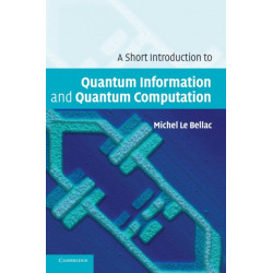 A Short Introduction to Quantum Information and Quantum Computation
