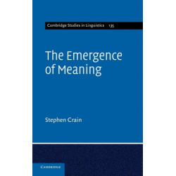 The Emergence of Meaning