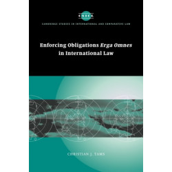 Enforcing Obligations Erga Omnes in International Law