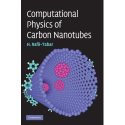 Computational Physics of Carbon Nanotubes