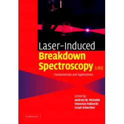 Laser Induced Breakdown Spectroscopy