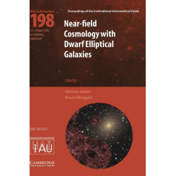 Near-Field Cosmology with Dwarf Elliptical Galaxies (IAU C198)