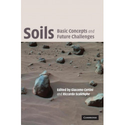 Soils: Basic Concepts and Future Challenges