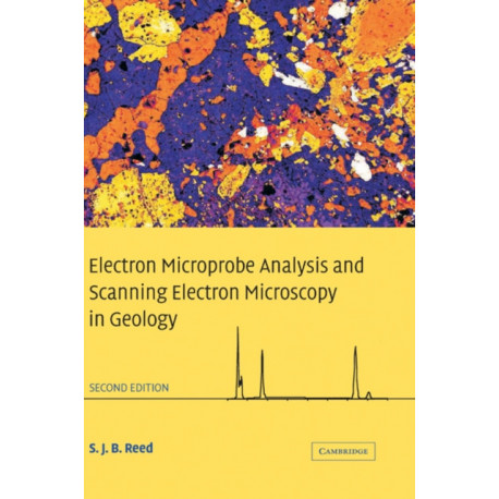 Electron Microprobe Analysis and Scanning Electron Microscopy in Geology