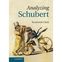 Analyzing Schubert