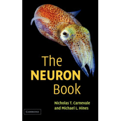 The NEURON Book