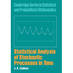 Statistical Analysis of Stochastic Processes in Time
